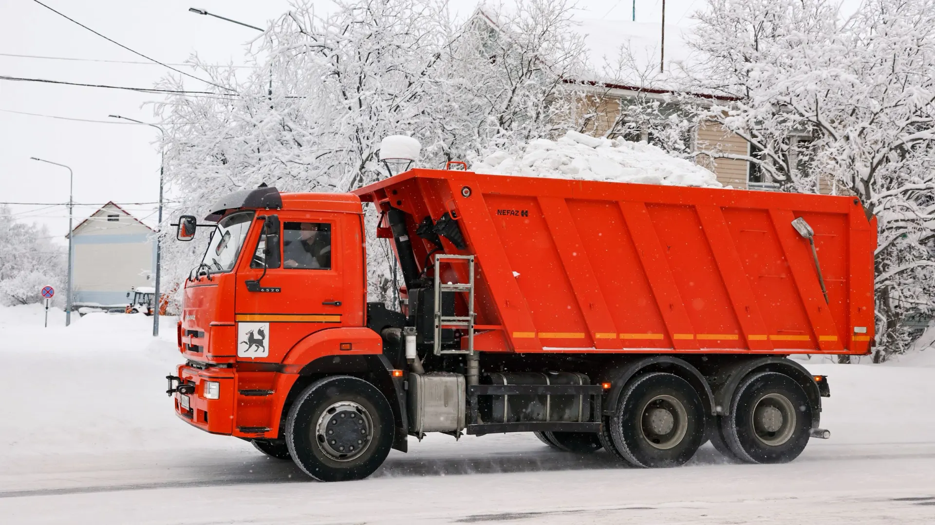Фото: Андрей Ткачев/«Ямал-Медиа»