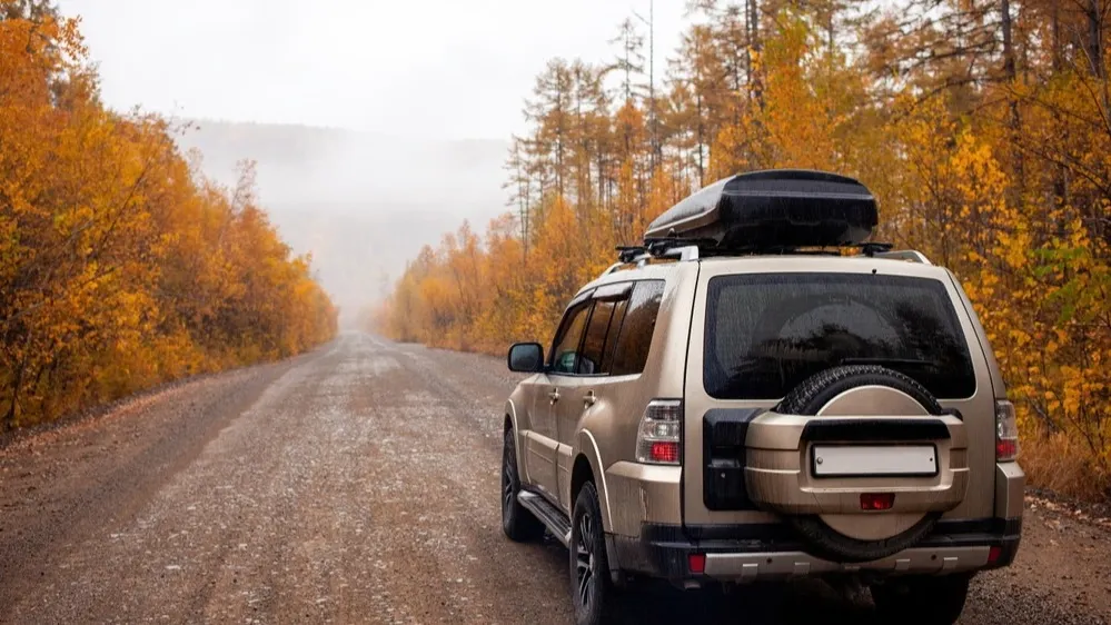Хабаровский край. Фото: Yury Stroykin/Shutterstock/Fotodom