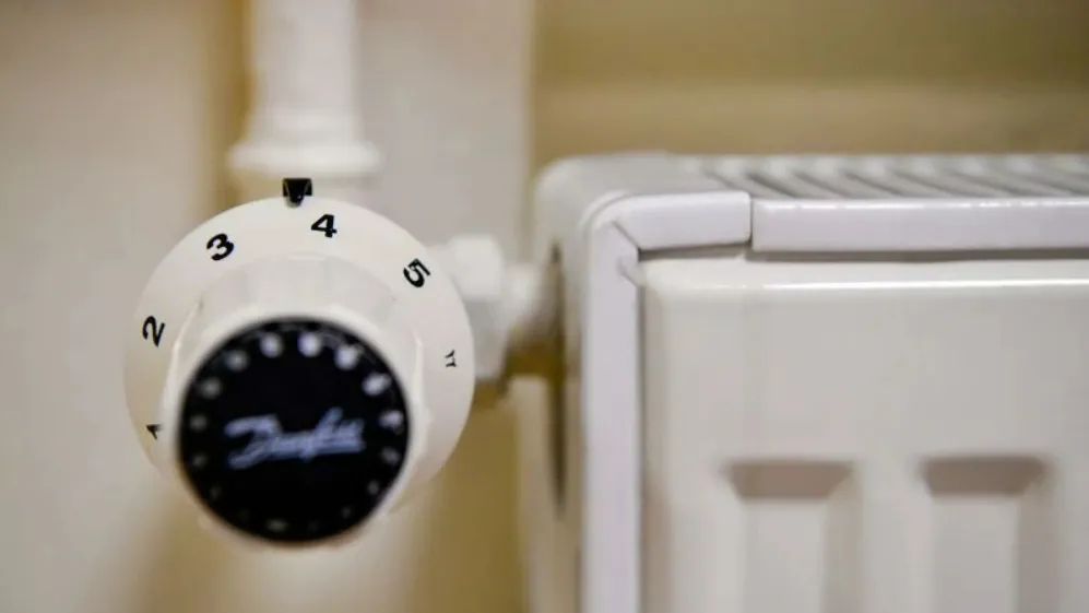 Фото: Андрей Ткачев/«Ямал-Медиа»