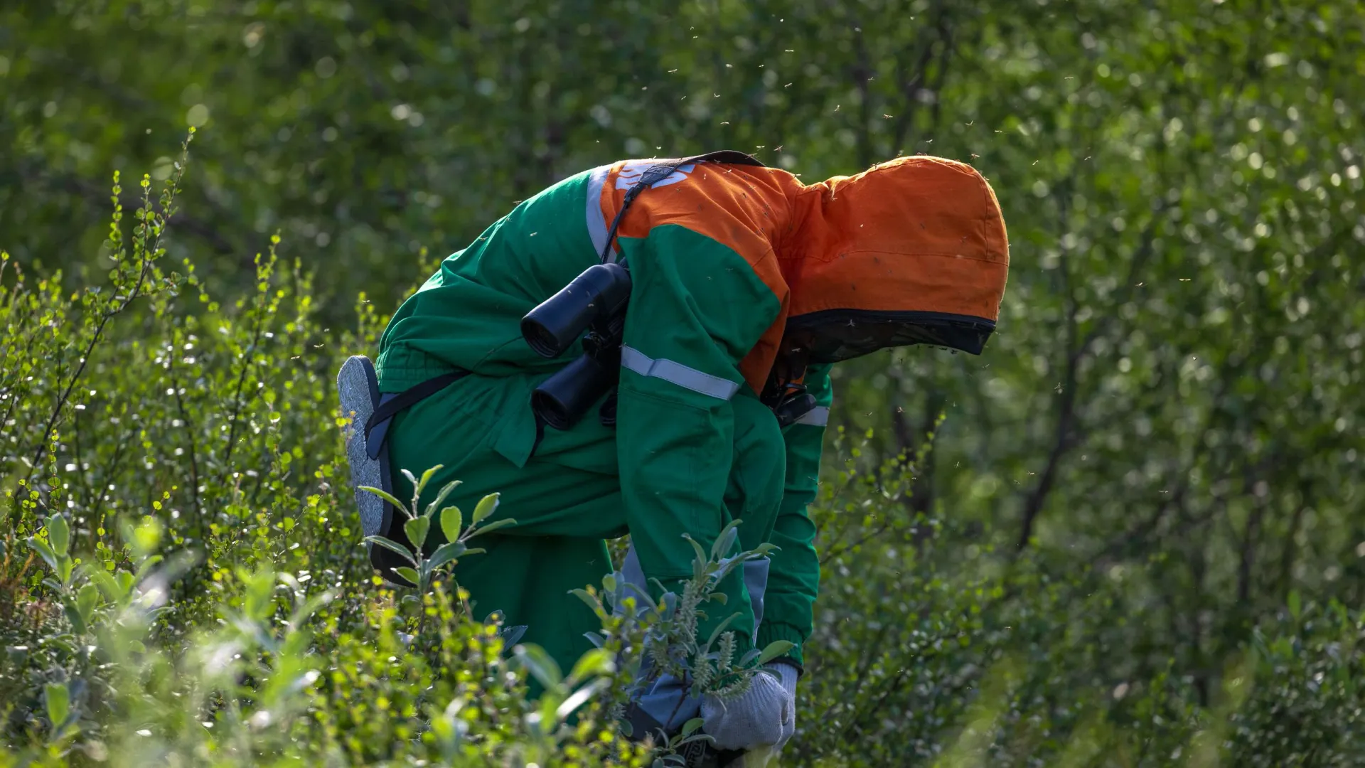 Фото: Федор Воронов/«Ямал-Медиа»