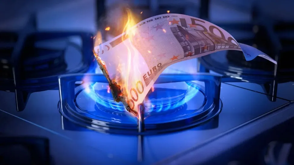 Фото: Corona Borealis Studio/Shutterstock/Fotodom