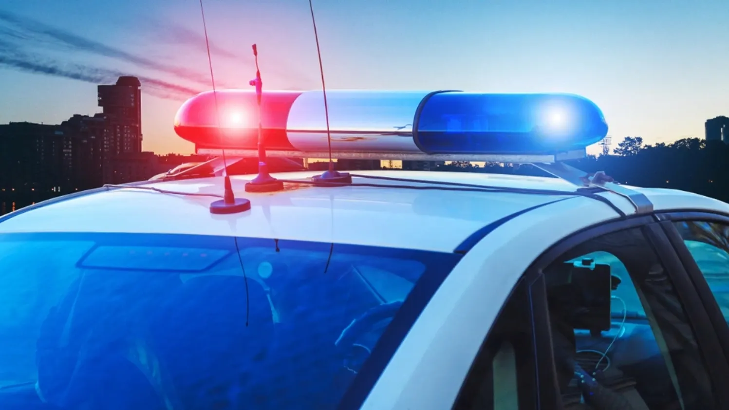 Фото: Media Home/shutterstock.com/Fotodom