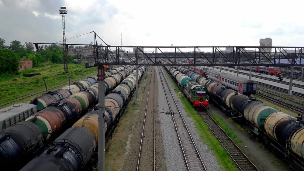 Фото: Comdas/Shutterstock