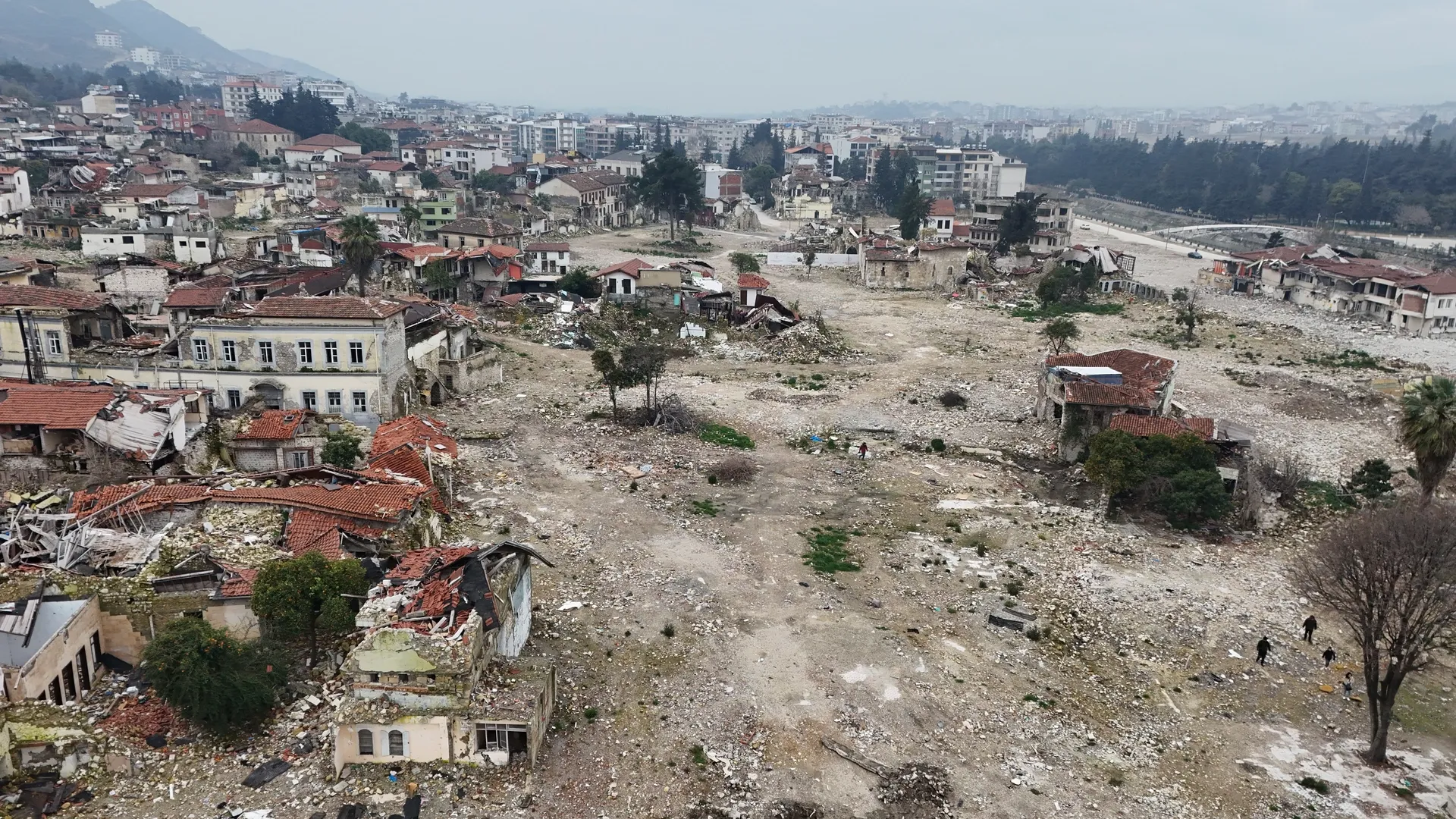 Фото: aerial view istanbul/Shutterstock/Fotodom