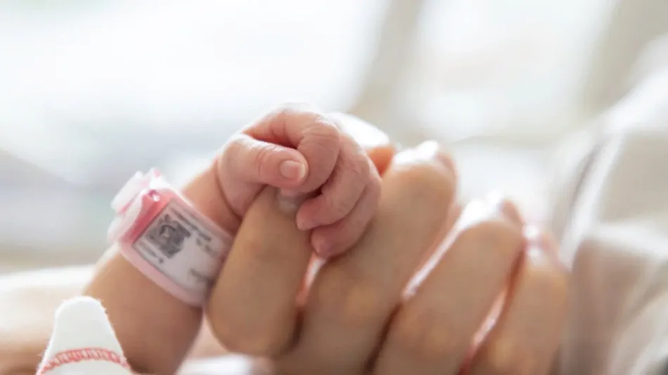 Ratchat/Shutterstock.com