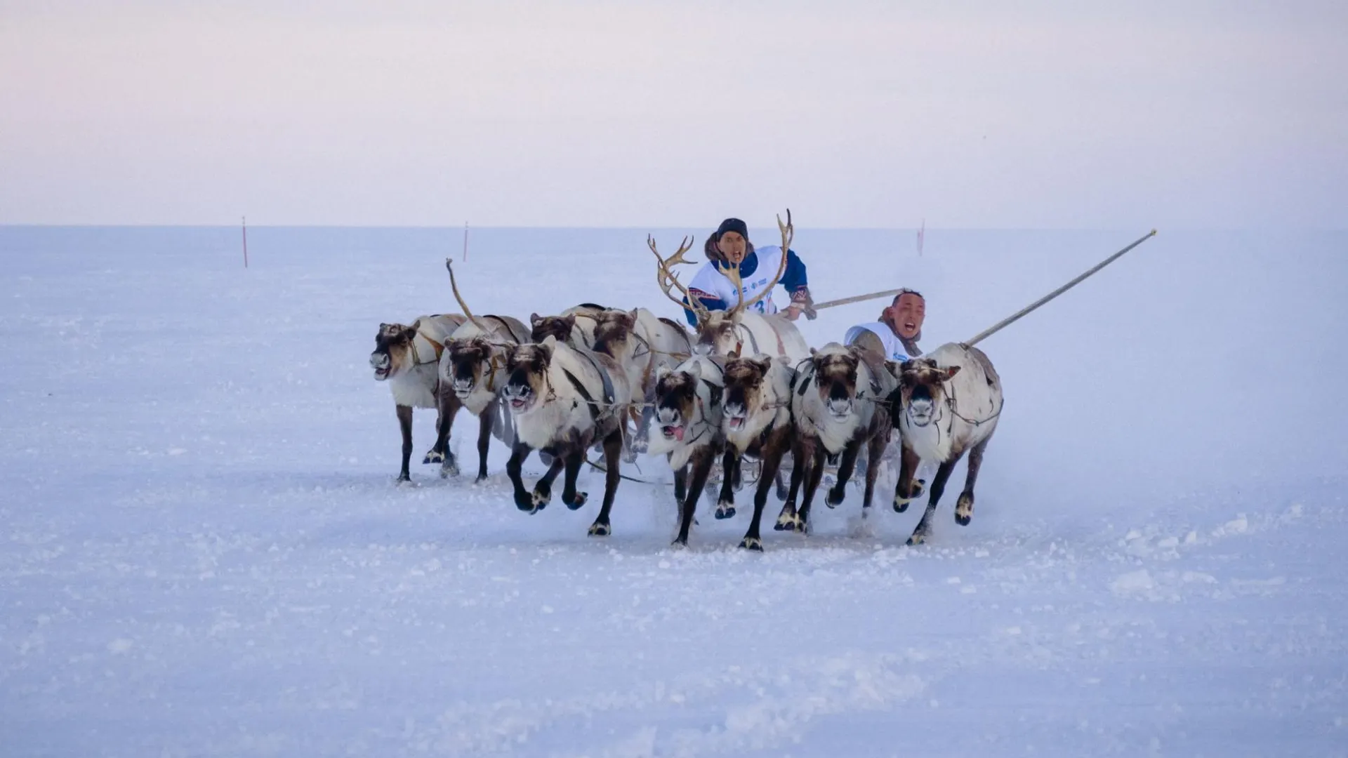 Фото: Юлия Чудинова/«Ямал-Медиа»