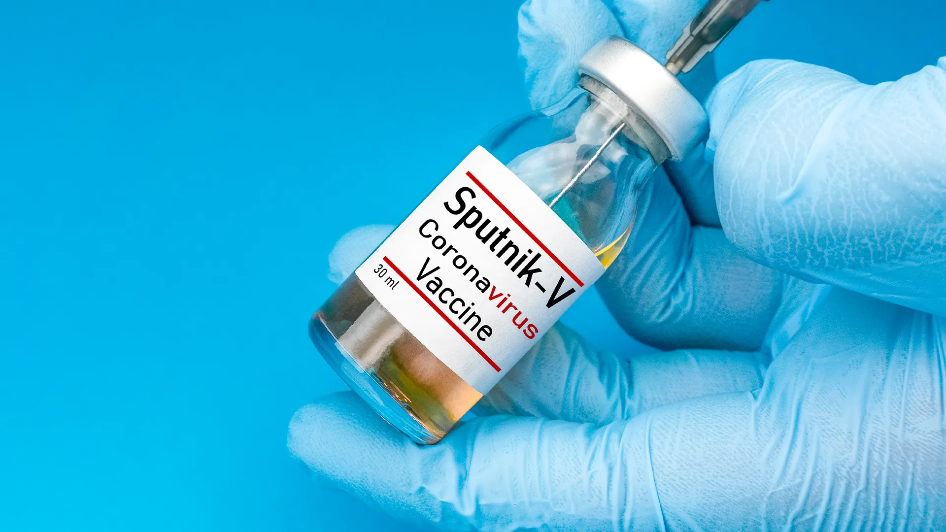 Фото: Seda Yalova/Shutterstock.com