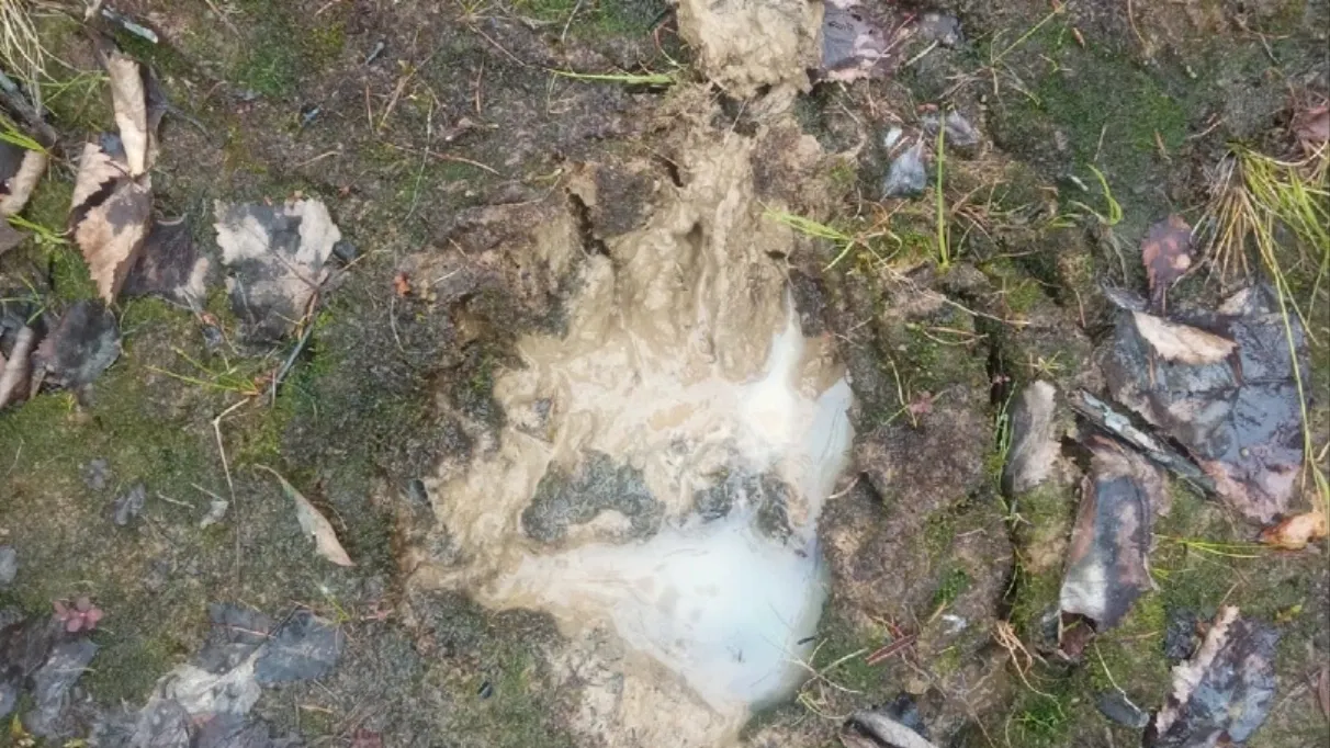 Фото: vk/Злой и добрый надымчанин/Евгений Смоленцев