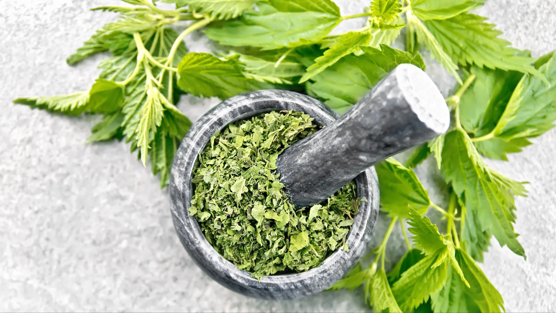 Фото: kostrez/Shutterstock/Fotodom