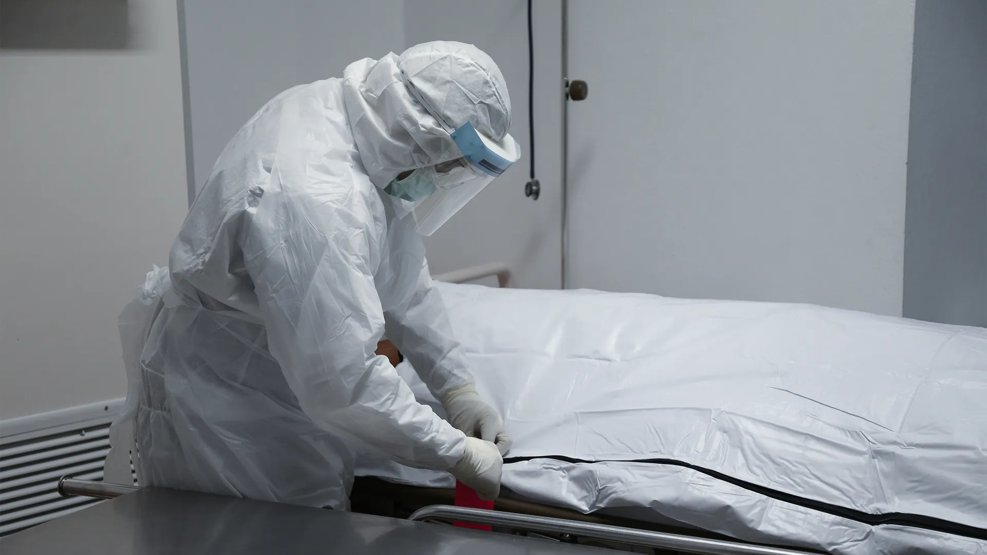 Фото: chaiyawat chaidet/Shutterstock.com