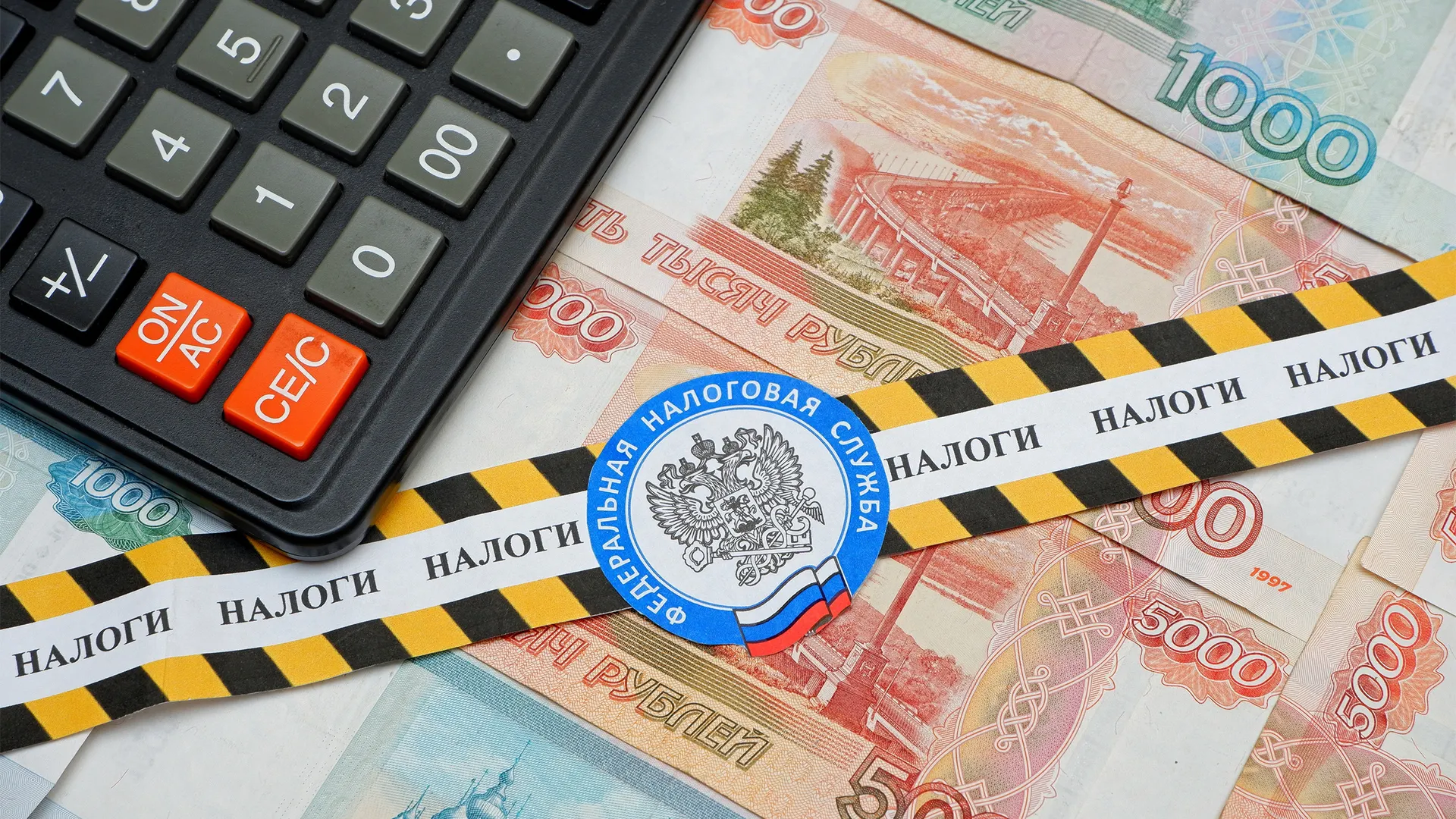 Фото: TsibaevAlex/Shutterstock.com