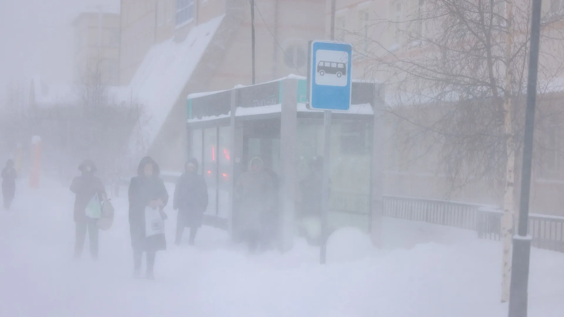Фото: Сергей Зубков/«Ямал-Медиа»