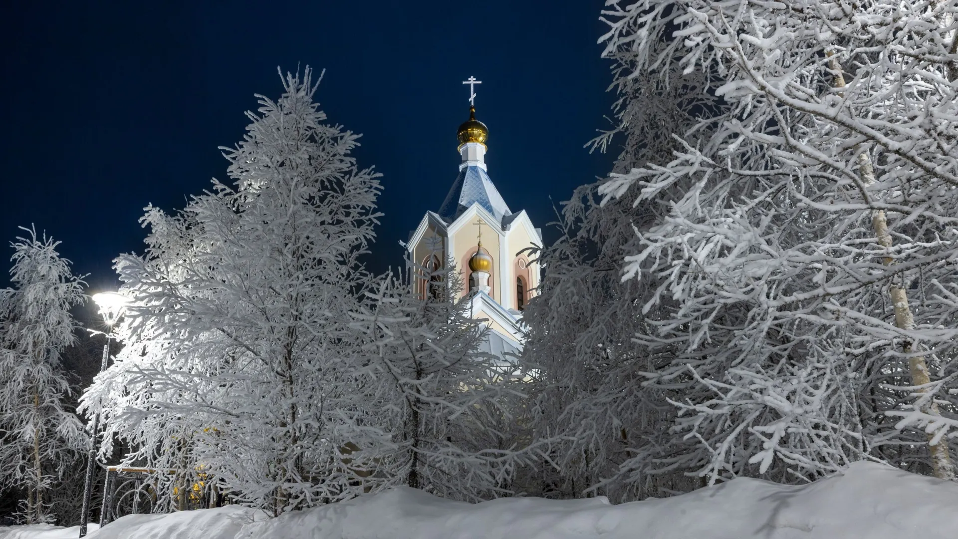 Фото: Федор Воронов/«Ямал-Медиа»