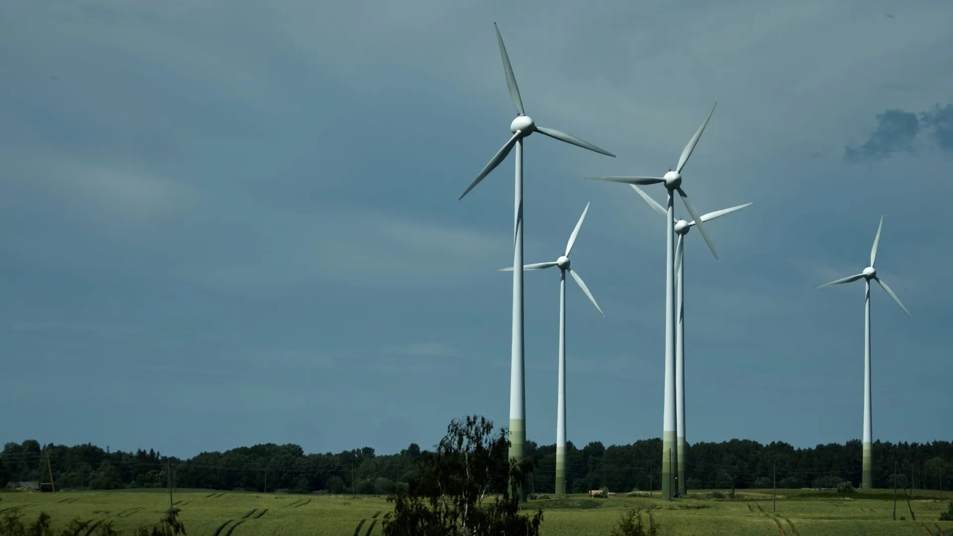 Фото: nadia_if/Shutterstock/Fotodom