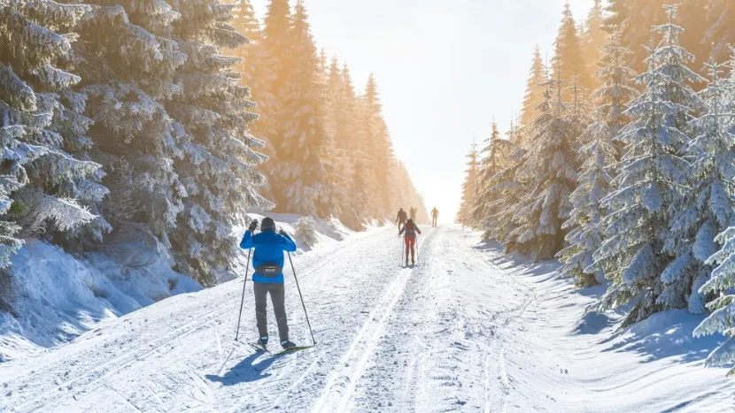 Фото: Pyty/Shutterstock/ФОТОДОМ
