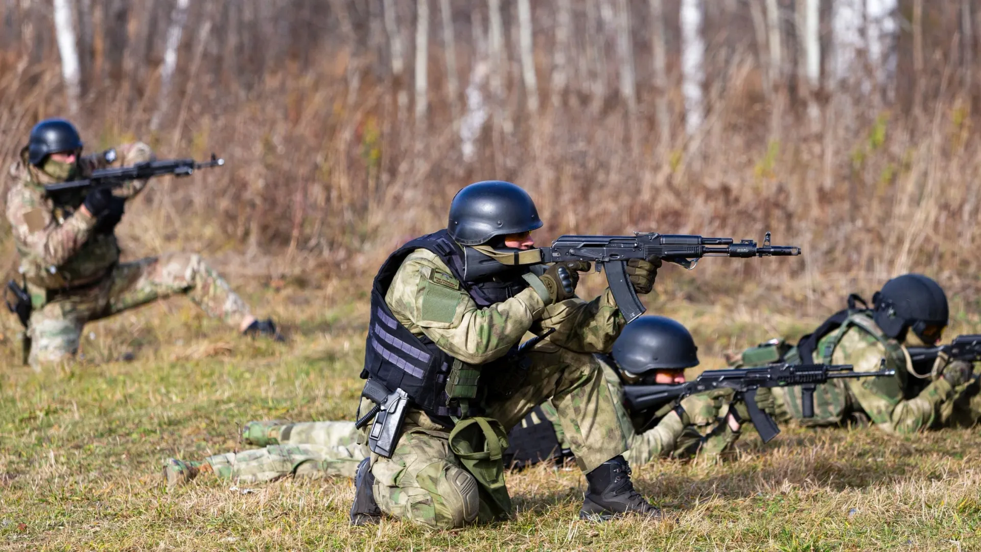 Фото: Dmitriy Kandinskiy/Shutterstock/Fotodom