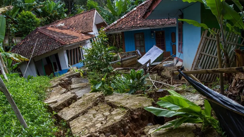 Фото: Algi Febri Sugita/Shutterstock/Fotodom