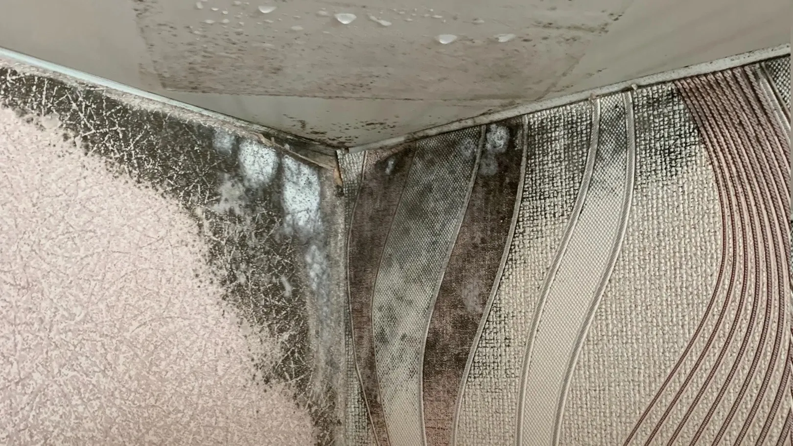 Фото: vk.com/moy_nsk