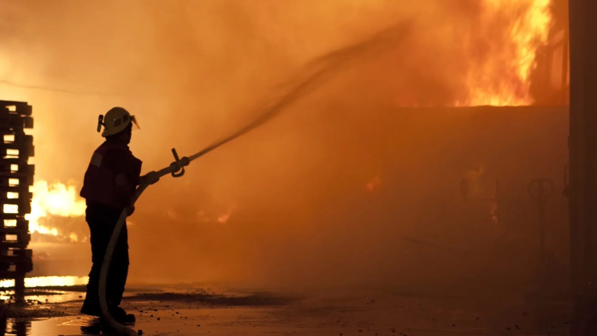 Фото: Dmitry Pistrov/Shutterstock/Fotodom