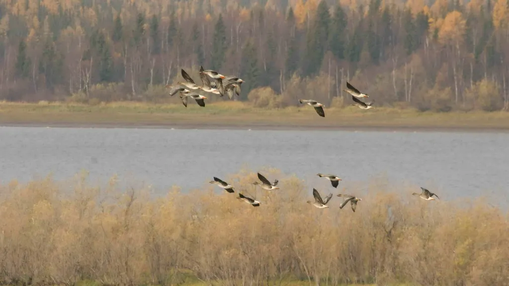 Фото: предоставлено пресс-службой правительства ЯНАО