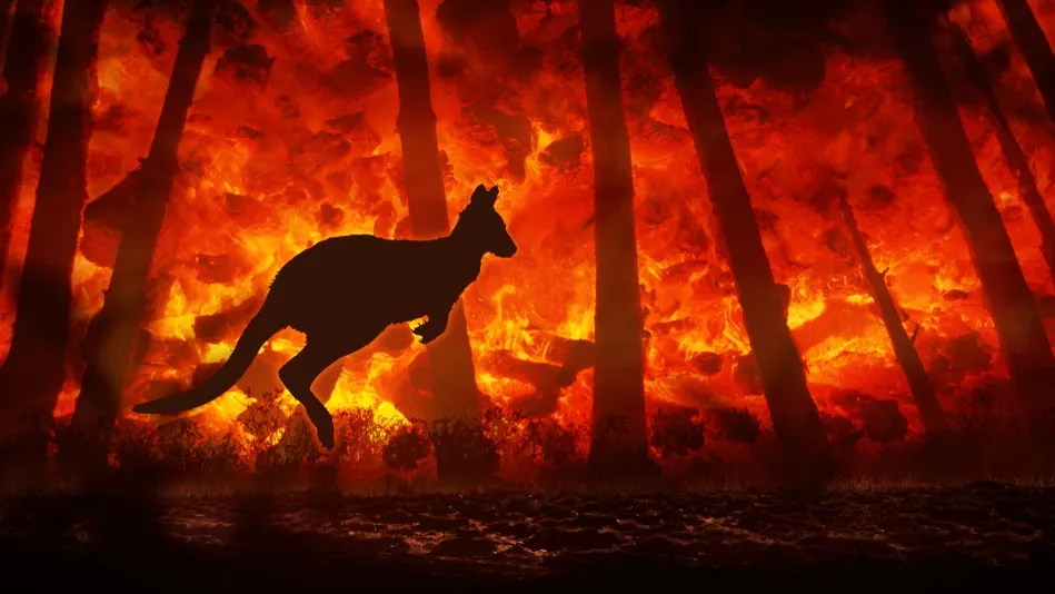 Фото: guidopiano/Shutterstock/Fotodom