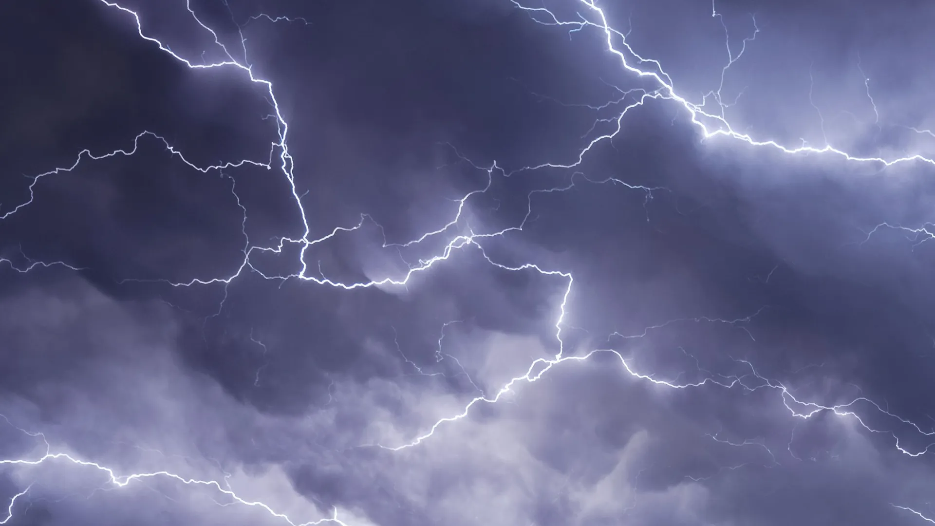 Фото: Menno van der Haven/Shutterstock/Fotodom