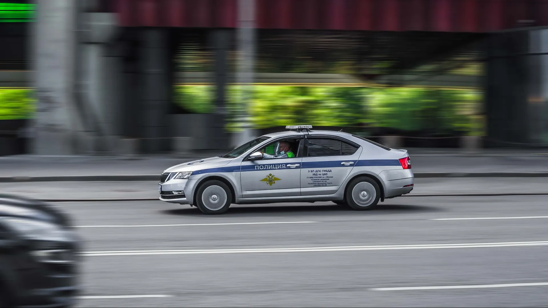 Фото: Haggardous50000/Shutterstock/Fotodom