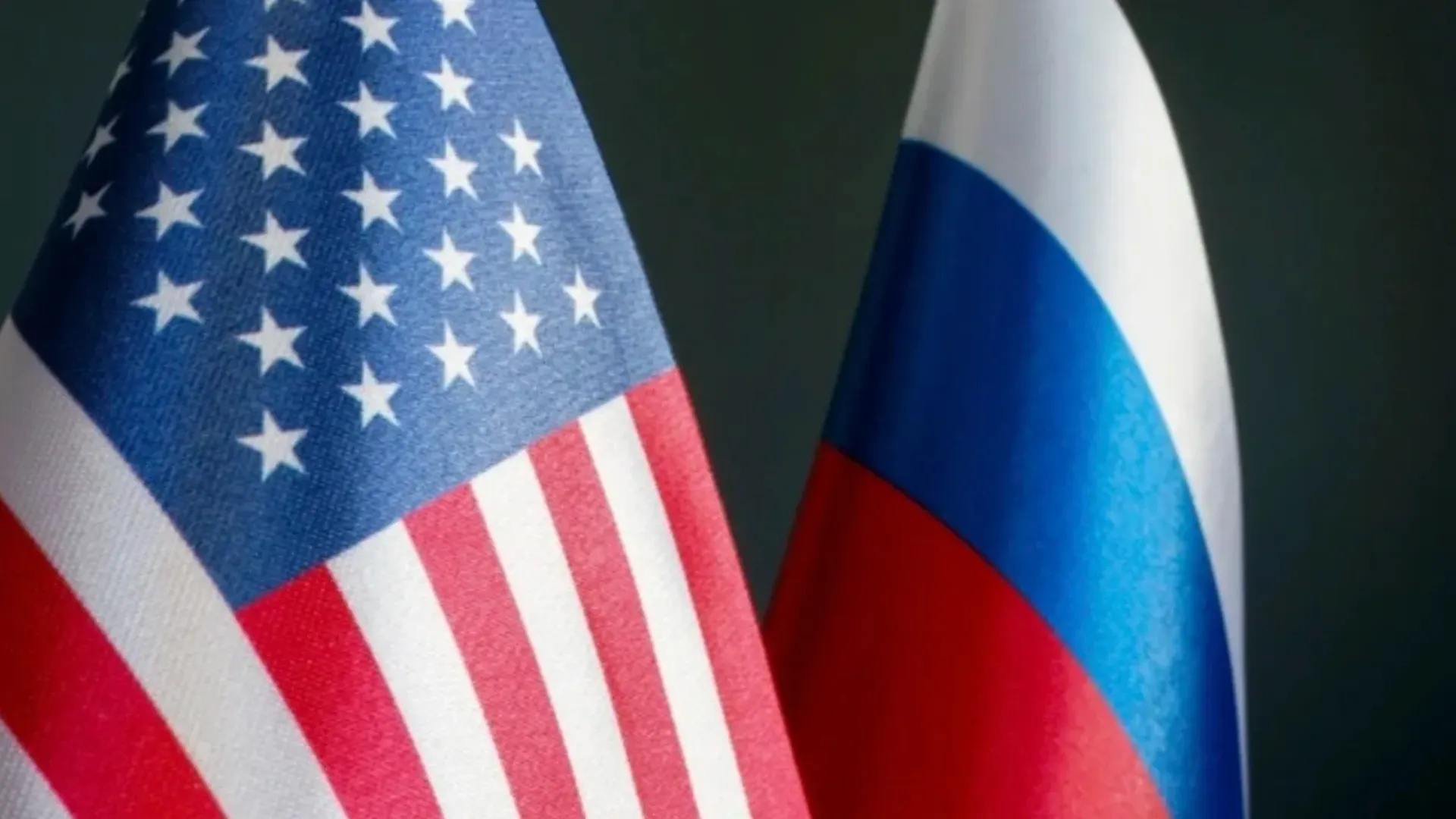 Фото: Vitalii Vodolazskyi/Shutterstock/Fotodom