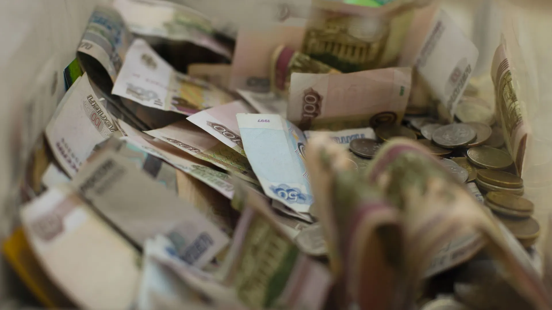 Фото: Olga Korica/Shutterstock/Fotodom