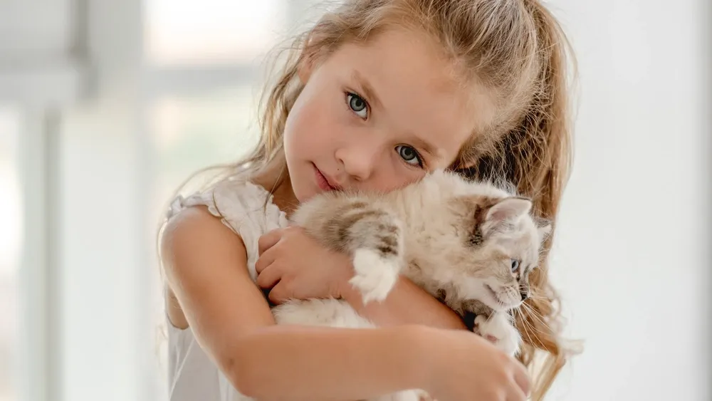 Фото: Tatyana Vyc/shutterstock.com