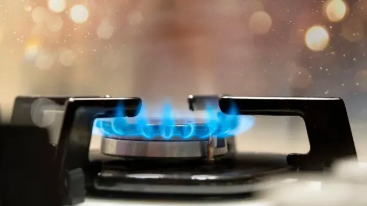 Gokhan Y / Shutterstock.com