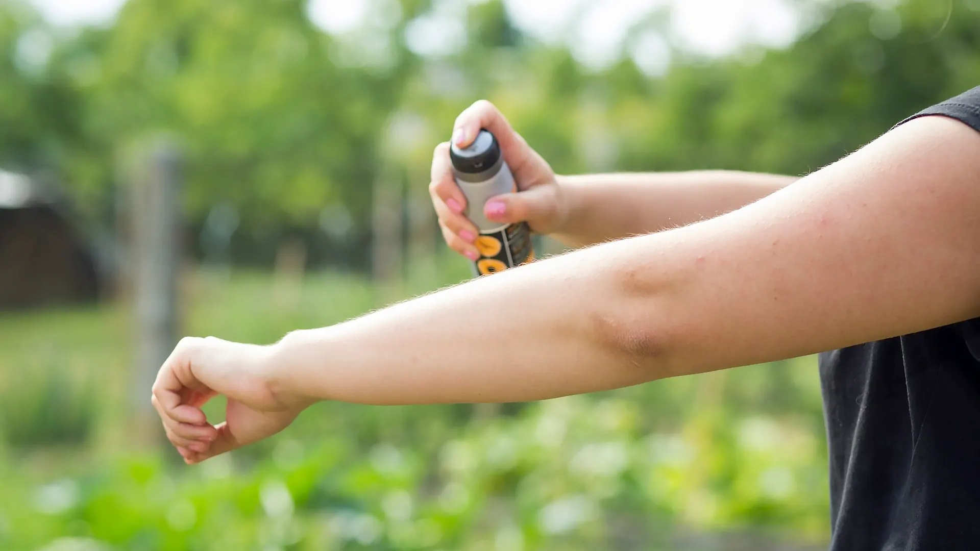 Фото: Simon Kadula/shutterstock.com