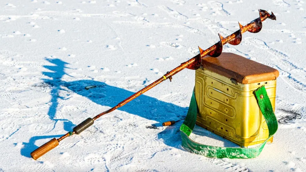 Фото: Alexandr Butylov/Shutterstock/Fotodom