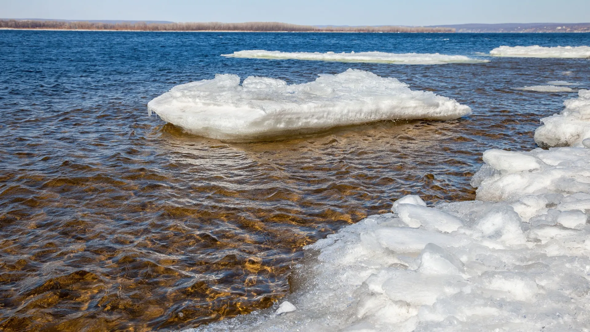 Фото: FotograFFF/Shutterstock/Fotodom