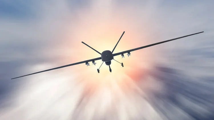 Фото: Aappp/Shutterstock/Fotodom