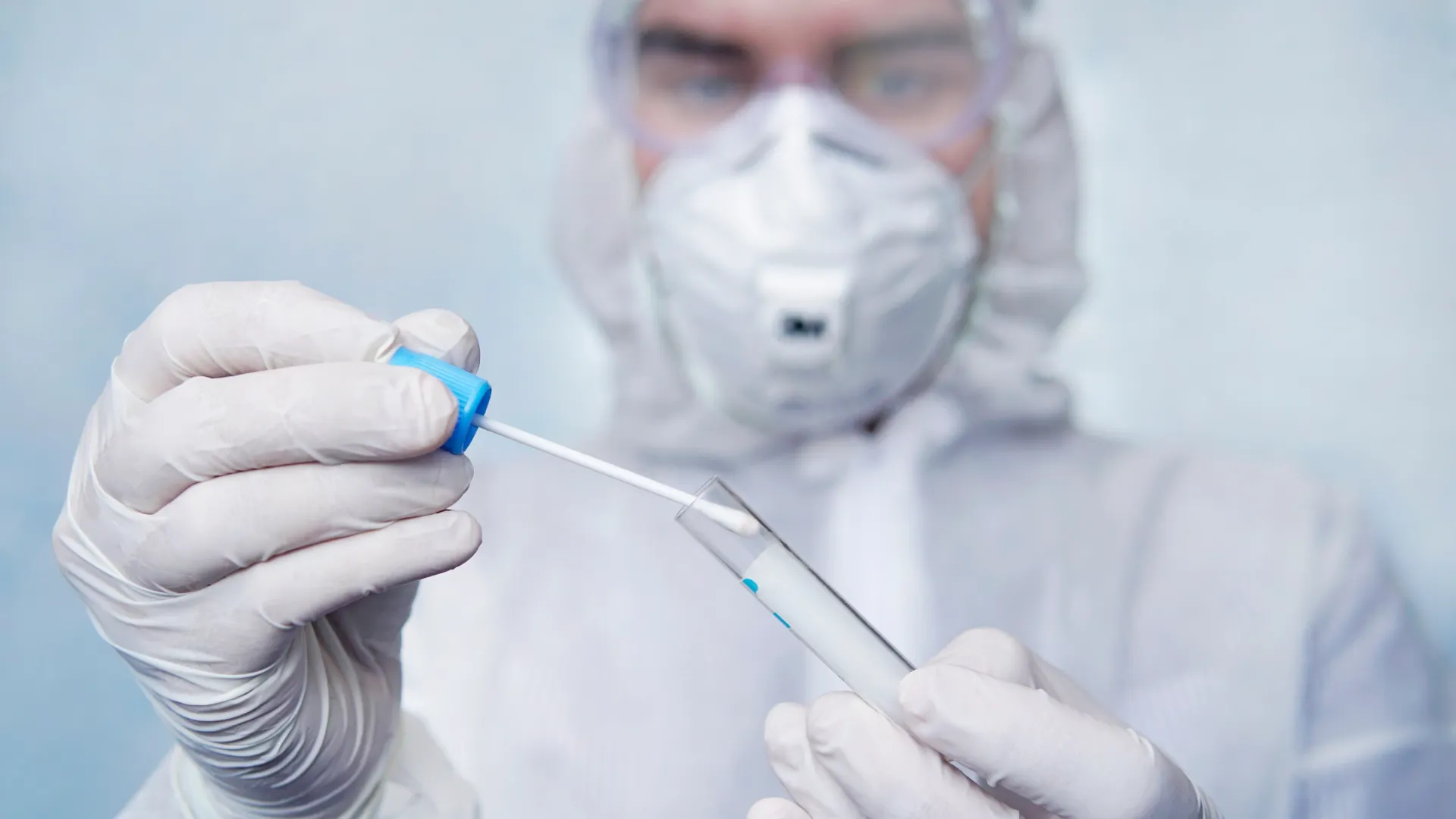 Фото: diy13/shutterstock.com