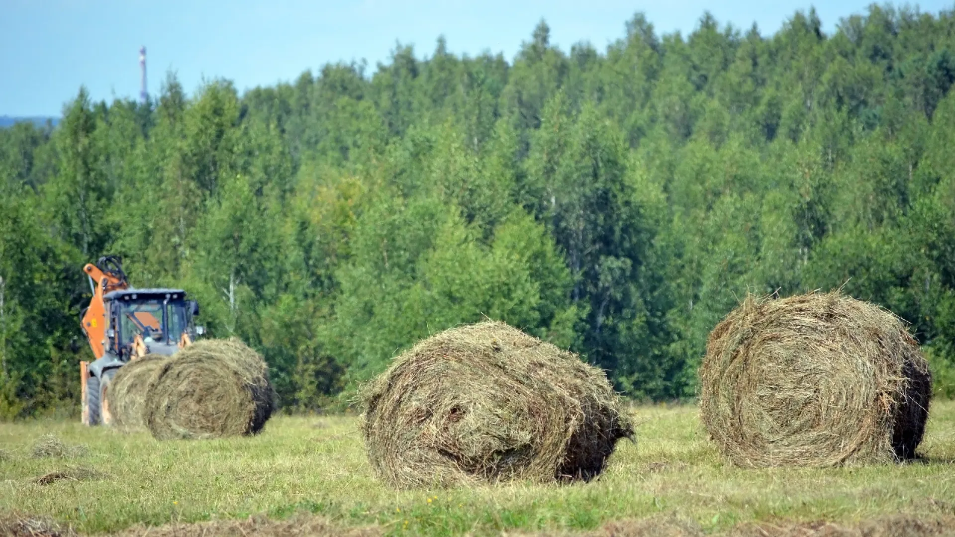 Фото: Alexander Zamaraev/Shutterstock/Fotodom