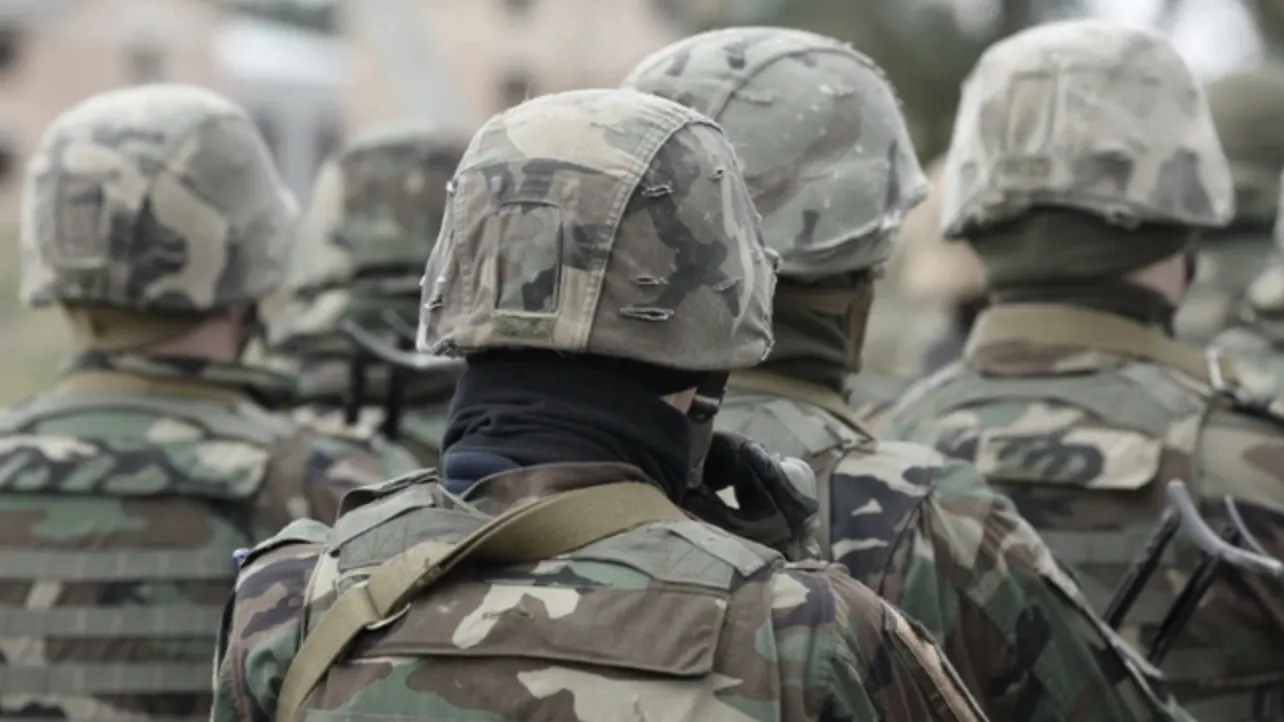 Фото: Bumble Dee/Shutterstock/Fotodom