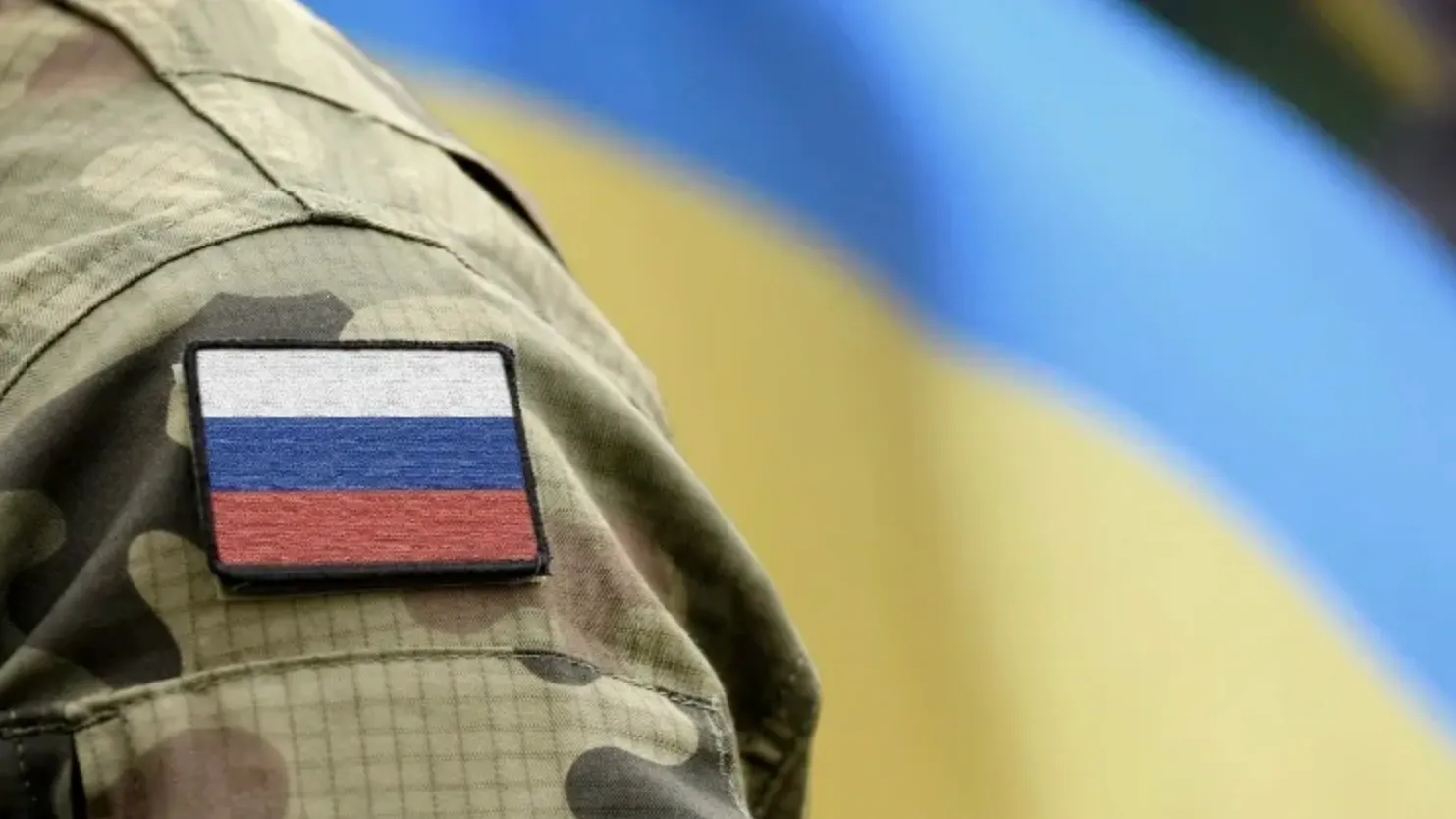 Фото: Bumble Dee/Shutterstock/Fotodom