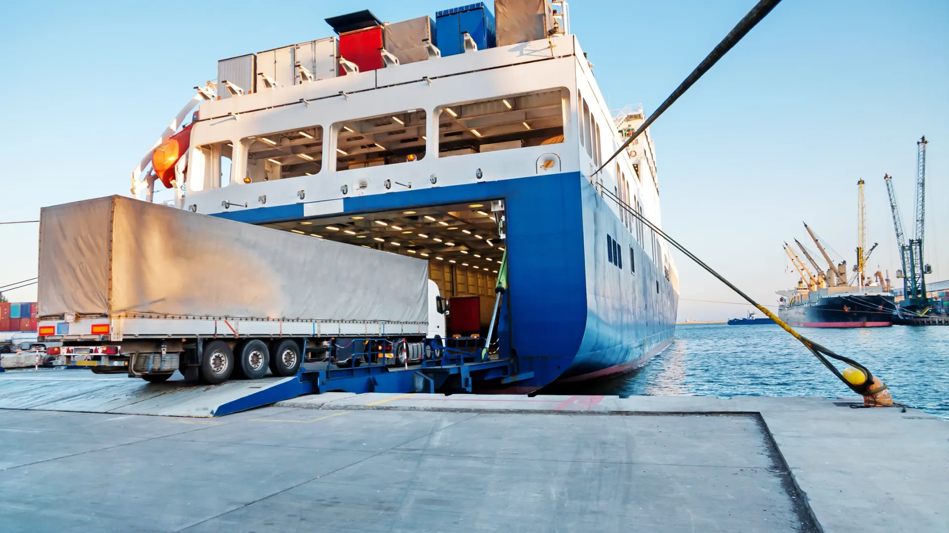 Фото: CANARAN/Shutterstock/Fotodom