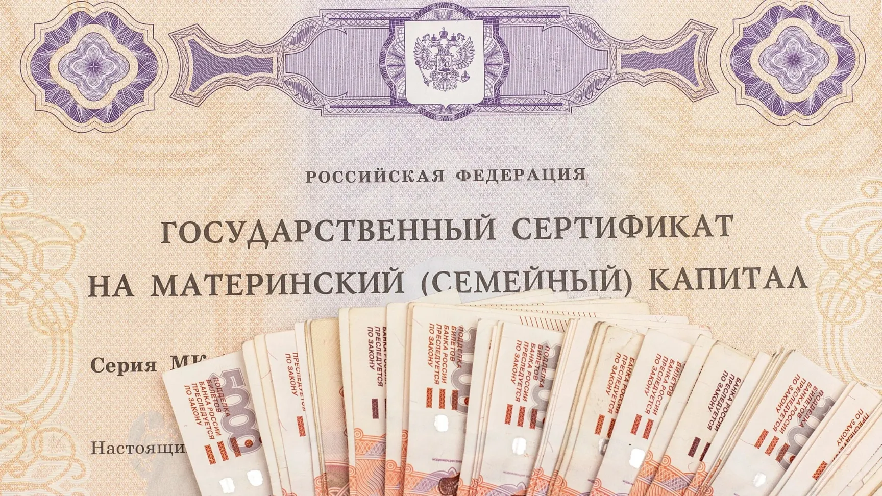 Фото: ikrolevetc/Shutterstock/Fotodom