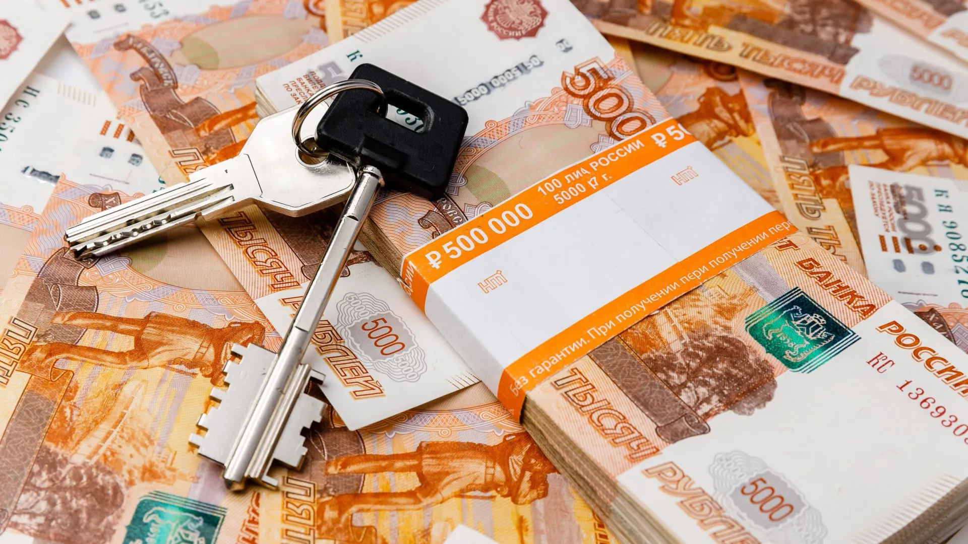 Фото: SDammer/Shutterstock/Fotodom