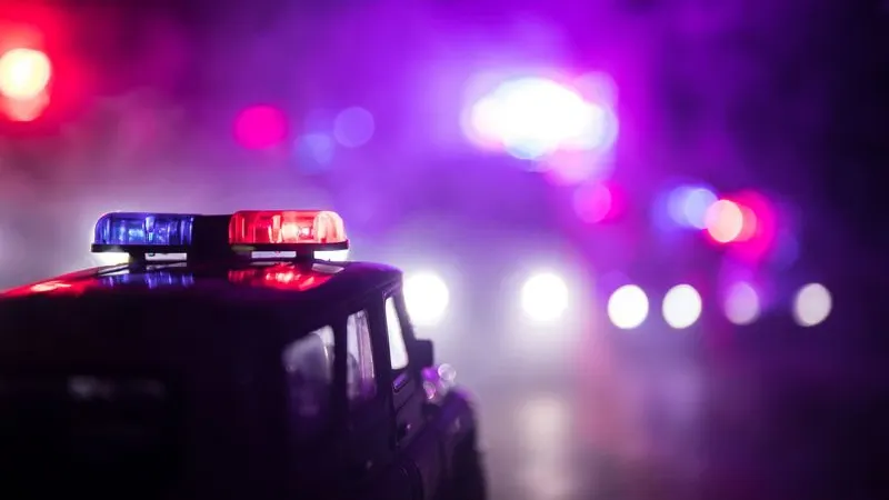 Фото: zef art/Shutterstock/Fotodom