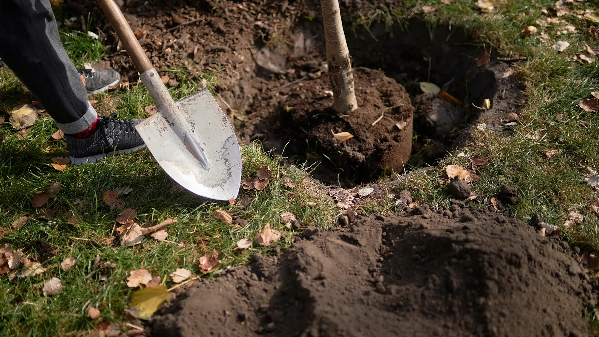 Фото: BLGKV/Shutterstock/Фотодом