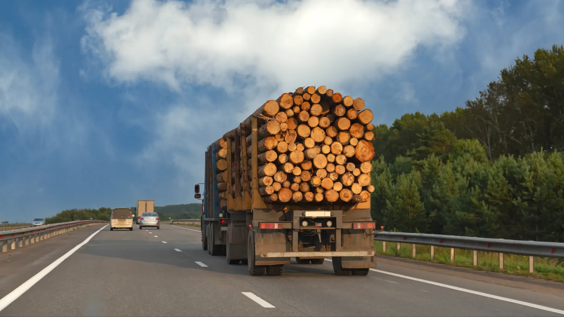 Фото: Summer 1810/Shutterstock/Fotodom