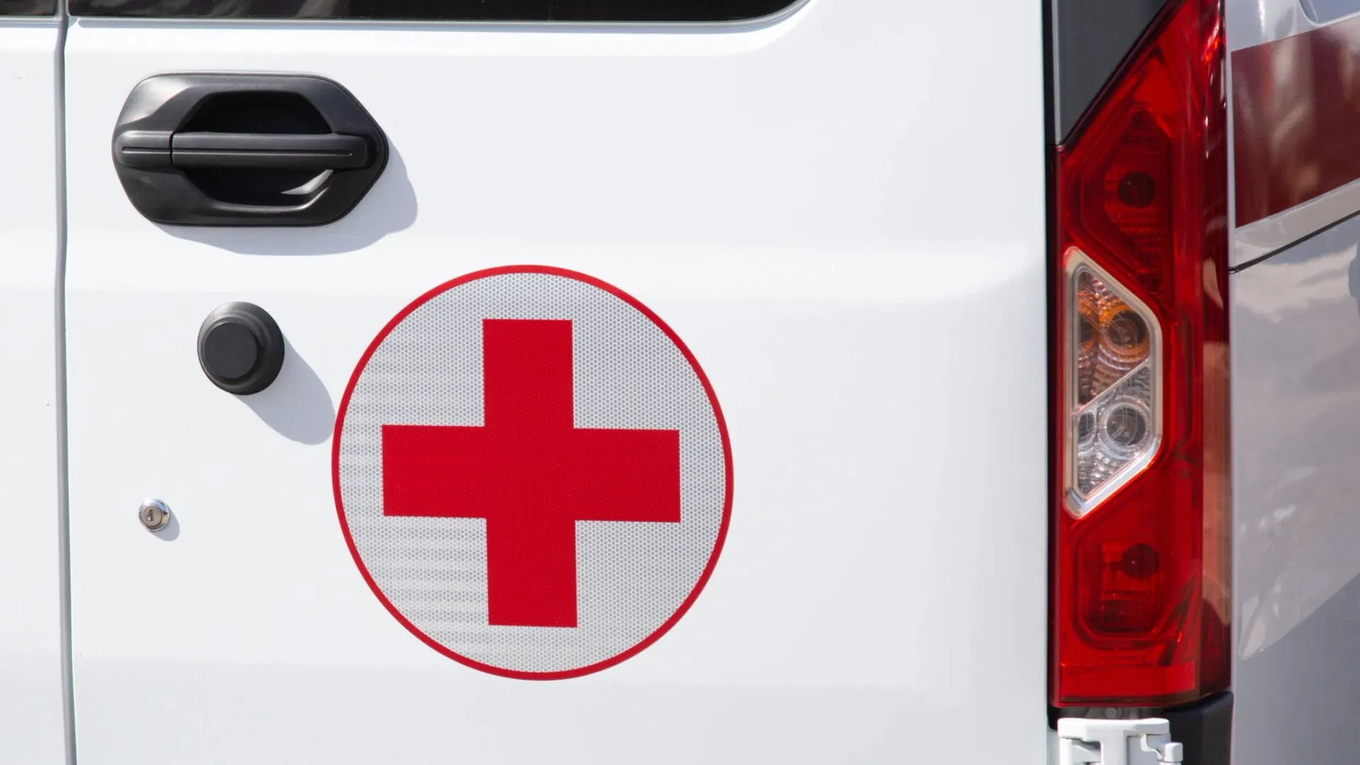 Фото: Potashev Aleksandr/Shutterstock/Fotodom