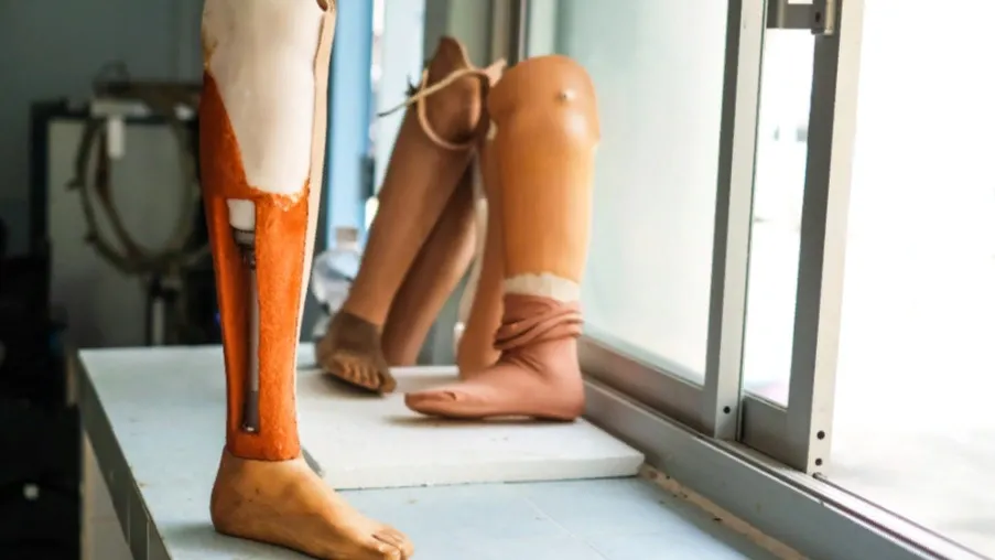 Фото: AN Photographer2463/Shutterstock/Fotodom