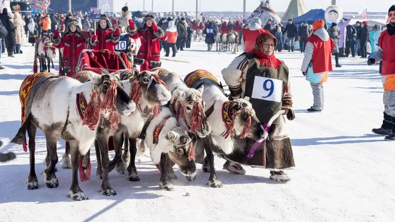 Фото: Сергей Зубков/«Ямал-Медиа»