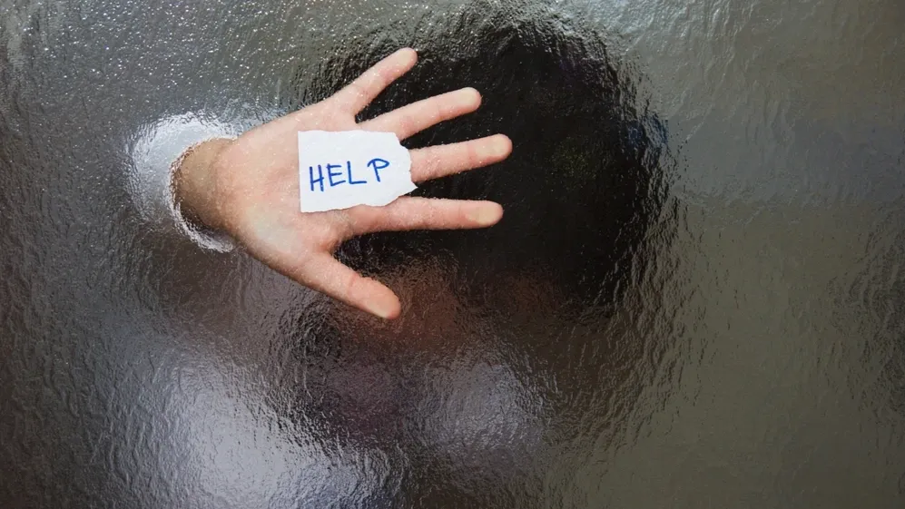 Фото: Sinisha Karich/Shutterstock/Fotodom