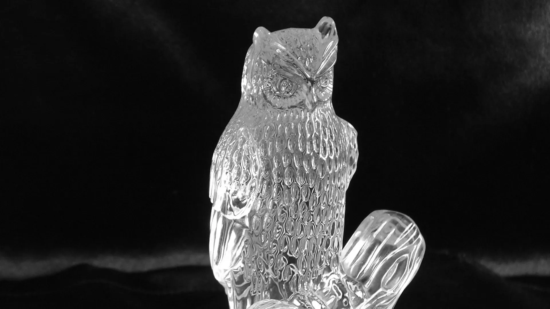 Фото: New Image/Shutterstock/Fotodom